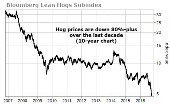 hogs-price